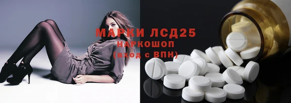 шишки Верея