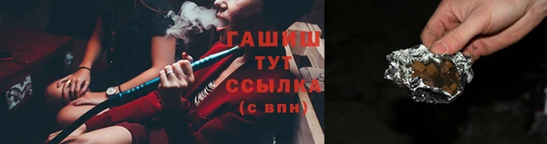 шишки Верея