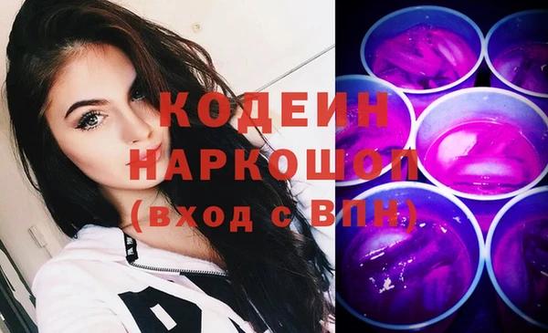 шишки Верея
