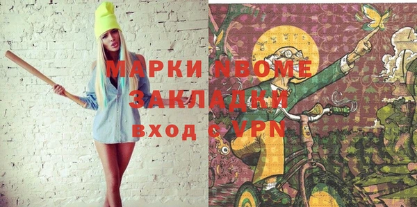 шишки Верея