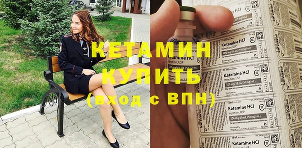 шишки Верея