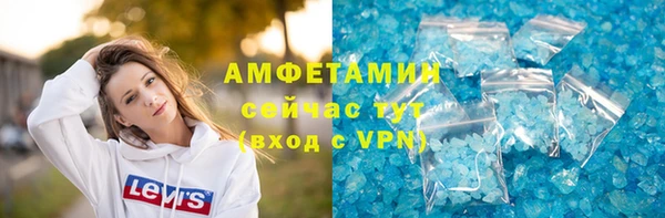 шишки Верея