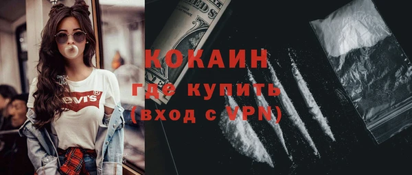 шишки Верея