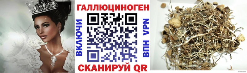 Псилоцибиновые грибы ЛСД  купить   Копейск 